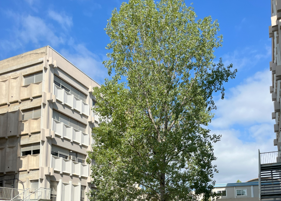 imatge de la facultat deciències per fora 